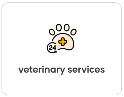 Screenshot 2026-03-10 221806