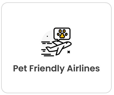 Screenshot 2026-03-10 230544