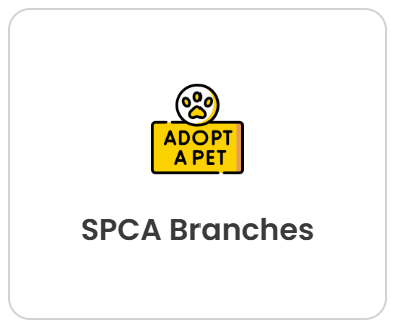 Screenshot 2026-03-10 231728